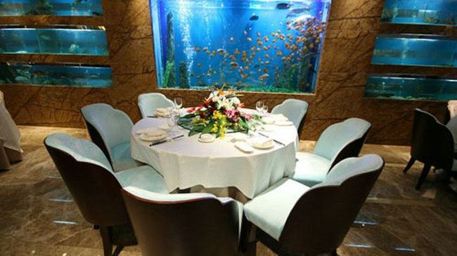 Four Seasons Rayli Hotel Ningbo Restaurant billede